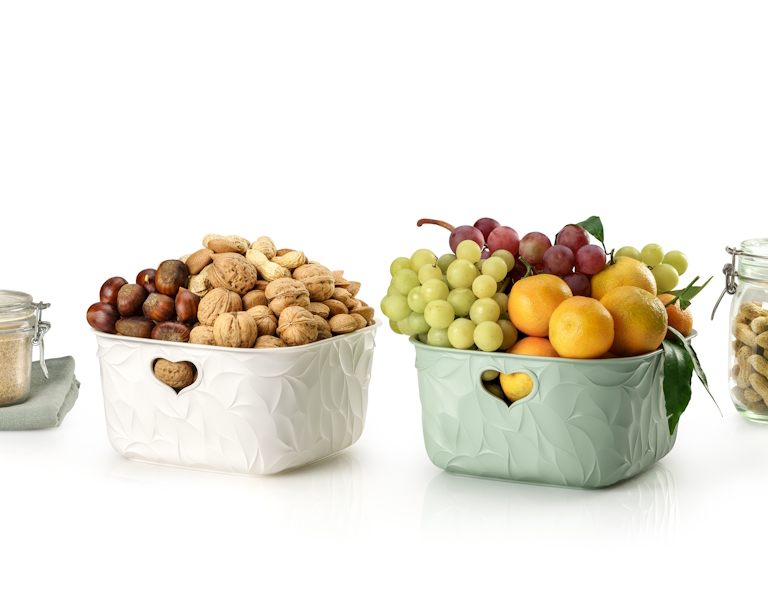 Lorem ipsum dolor sit